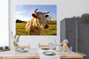 MuchoWow® Poster Kuh - Bauernhof - Natur 160x120 cm - Foto Produktbild-Vorschau 3