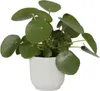 elho® Vibes Übertopf Fold Seidenweiß Ø 18 cm - Kunststoff Produktbild-Vorschau 11