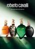 Roberto Cavalli Verde Assoluto, Kobiety, 75 ml, Bergamotka, Podgląd zdjęcia produktu 14
