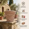A terracotta pot with decorative elements, set in an outdoor, rustic, Mediterranean-style environment with stone buildings and olive trees. Produktbild-Vorschau