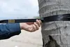 Ticket to the Moon Moonstrap/Treehuggers - Produktbild-Vorschau 11