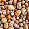 Supravit Frische Nüsse-Mix Eichhörnchen Futter 1kg | Futter Produktbild-Vorschau 2