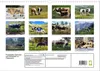 Pustertaler Sprinzen und Schecken in Österreich Produktbild-Vorschau 2