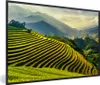 MuchoWow® MuchoWow® Gerahmtes Poster Terrassen von Produktbild-Vorschau 1