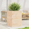 The Living Store Pflanzkübel 50x50x68,5 cm Massivholz Produktbild-Vorschau 4