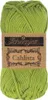 Scheepjes Cahlista 50g (205) Kiwi Produktbild-Vorschau 1