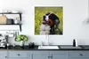 MuchoWow® Poster Ein Berner Sennenhund zwischen gelben Produktbild-Vorschau 3