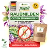 Power Raubmilben gegen Spinnmilben – Streuware mit 2x Tüten Produktbild-Vorschau 1
