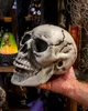 Preiswerter Totenschädel 24cm als Halloween Deko Produktbild-Vorschau 2