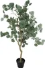 Plante artificielle d'eucalyptus, 127 cm Voir les images du produit 1