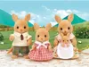 Sylvanian Families Rodina klokanů, 4 postavy, od 3 let Náhled obrázku produktu 1