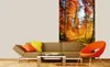 Fototapete - Forest Walk 150x250cm - Vliestapete Produktbild-Vorschau 2