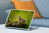 MuchoWow® Laptop Aufkleber Sticker Cover Ente - Vögel - Produktbild-Vorschau 4