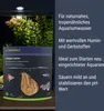 Dennerle Catappa Leaves - Seemandelbaumblätter, natüliche Produktbild-Vorschau 4