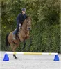 Waldhausen Cavaletti- Block Stangenblock Blau Produktbild-Vorschau 3