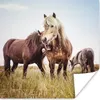 MuchoWow® Poster Pferde - Gras - Frühling 75x75 cm - Wand Produktbild-Vorschau 1