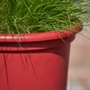 Pflanzkübel GEO Ø 40 cm mattone rot – robuster Produktbild-Vorschau 3