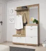 A hallway furniture set with a mirror, shelf, coat hooks, and storage drawers and cabinets, displayed in a room setting. Náhled obrázku produktu