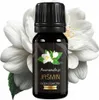 100 % natürliches Jasminöl, 10 ml, JASMINE SAMBAC INDIA Produktbild-Vorschau 1