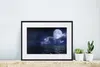 MuchoWow® MuchoWow® Gerahmtes Poster Mond - Meer - Horizont Produktbild-Vorschau 6