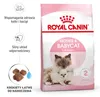 Royal Canin Mother & Babycat 34 Trockenfutter für Katzen 0 Produktbild-Vorschau 16