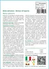 SAFLAX  - Melo selvatico - 30 semi - Con substrato - Malus Anteprima dell’immagine prodotto 3