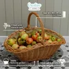 Creative Home Nosič dřeva Krbový koš na dřevo Krbový koš Náhled obrázku produktu 4