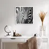 Poster - Poster ohne Rahmen - Tiere Zebra gestreift - 60x60 Produktbild-Vorschau 5