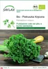 SAFLAX - Bio - Pietruszka Kręcona - 800 Nasiona - Podgląd zdjęcia produktu 1