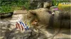 Pikmin 1 + 2 [Nintendo Switch] Produktbild-Vorschau 4