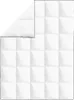 vidaXL Winter-Daunendecke 2 Stk. 135x200 cm Produktbild-Vorschau 1