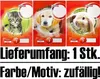 LANDRÉ Schulheft DIN A5 Lineatur 7 / 7 mm kariert 16 Blatt Produktbild-Vorschau 11