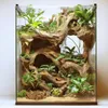 Terrario Ciotola rustica in legno - Ciotola per terrari Anteprima dell’immagine prodotto 6