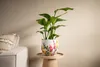 Kolekcja TS – Blumentopf Floral white – 17 x 15 Podgląd zdjęcia produktu 4