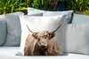 MuchoWow® Outdoor Kissen - Porträt Schottisches Produktbild-Vorschau 4