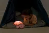 CloudB veilleuse "Twinkling Twilight Turtle", Rose Voir les images du produit 9