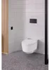 Geberit 115.622.14.1, Splachovací deska, Černá, Geberit, Náhled obrázku produktu 5