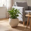 aplanta Pflanztopf Sandro beige | 36X31, für drinnen, Produktbild-Vorschau 3