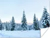 MuchoWow® Poster Winter - Schnee - Bäume 120x90 cm - Produktbild-Vorschau 1