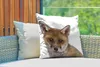 MuchoWow® Outdoor Kissen - Fuchs - Tiere - Jungtier - Produktbild-Vorschau 3