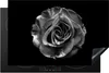 KitchenYeah© Herdabdeckplatte Blumen - Rose - Schwarz - Produktbild-Vorschau 1