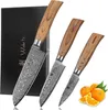 Set di coltelli Wakoli Edib Pro 3 pezzi Damasco I scatola Anteprima dell’immagine prodotto 1