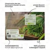 Semi di erba cipollina biologica - semi di erbe da cucina Anteprima dell’immagine prodotto 5