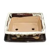 Bonsai-Schale mit Unterteller Gr. 8 Zoll braun-beige eckig Produktbild-Vorschau 2