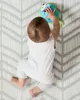 Skip Hop Explore & More Egelkruipspeelgoed Productafbeelding-voorbeeld 6