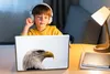 MuchoWow® Laptop Aufkleber Sticker Cover Adler - Adler - Produktbild-Vorschau 3
