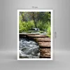 Poster - Poster ohne Rahmen - Park natur grün bäume - Produktbild-Vorschau 4