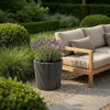 Capi Europe - Gefäß konisch Groove NL - Schwarz - 45x41 - Produktbild-Vorschau 6