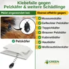A marketing image for a pest trap, showing the product and listing its effectiveness against various pests. Produktbild-Vorschau