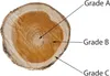 A cross-section of a tree trunk showing different grades of wood. Podgląd zdjęcia produktu